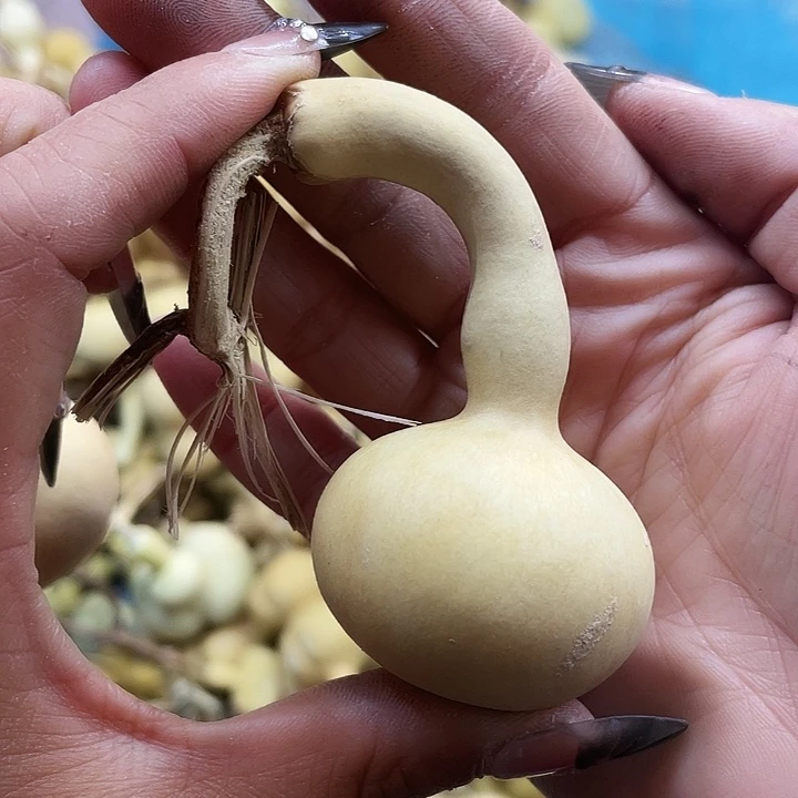 老***串大叶紫檀（黑酸枝木类）