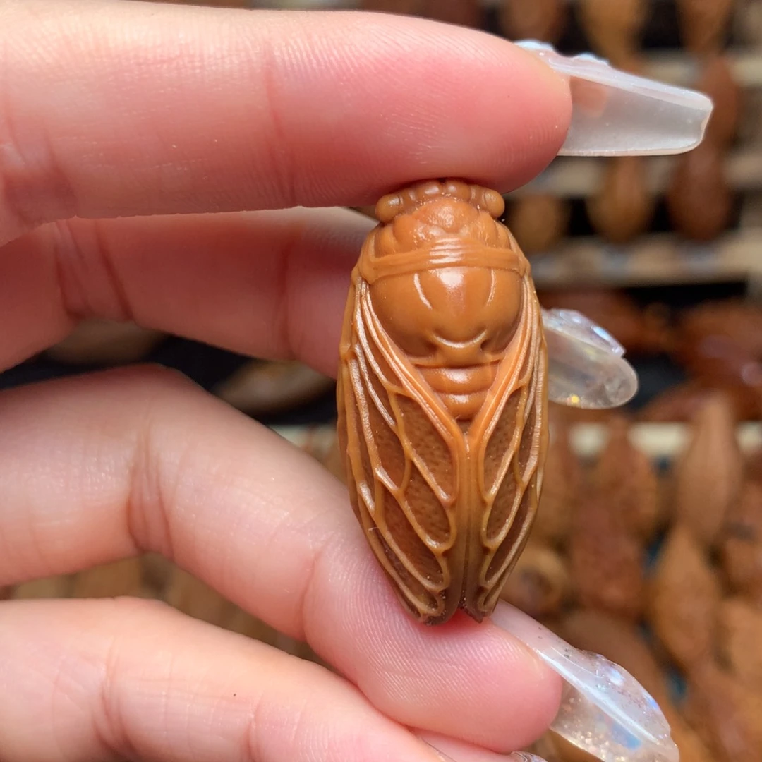 把件橄榄核一鸣惊人