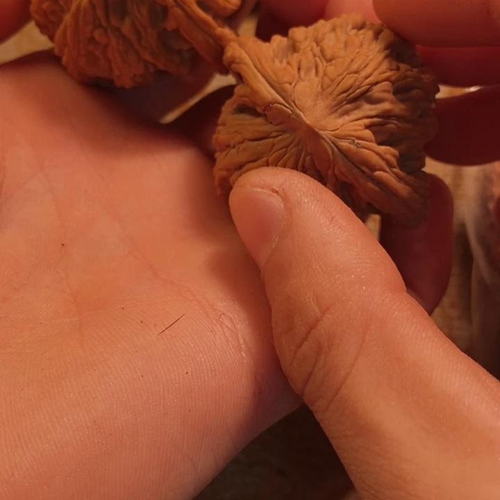 文玩核桃吊坠全品狮虎兽43