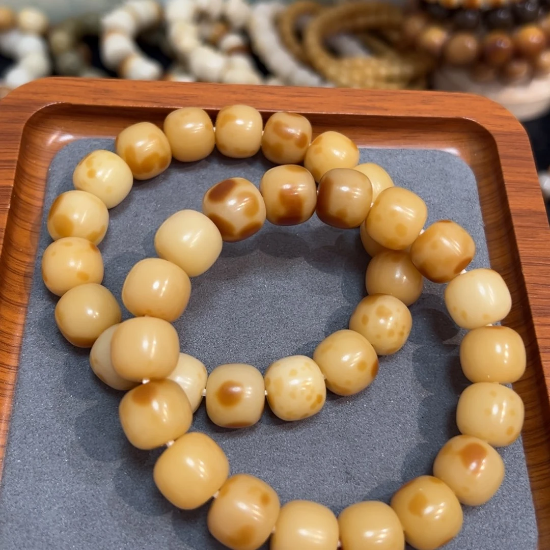 菩提根/象牙果吊坠爆米花卡13