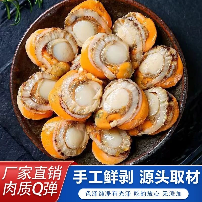 （到手5斤）带膏带黄新鲜扇贝肉 美味海鲜 包邮到家