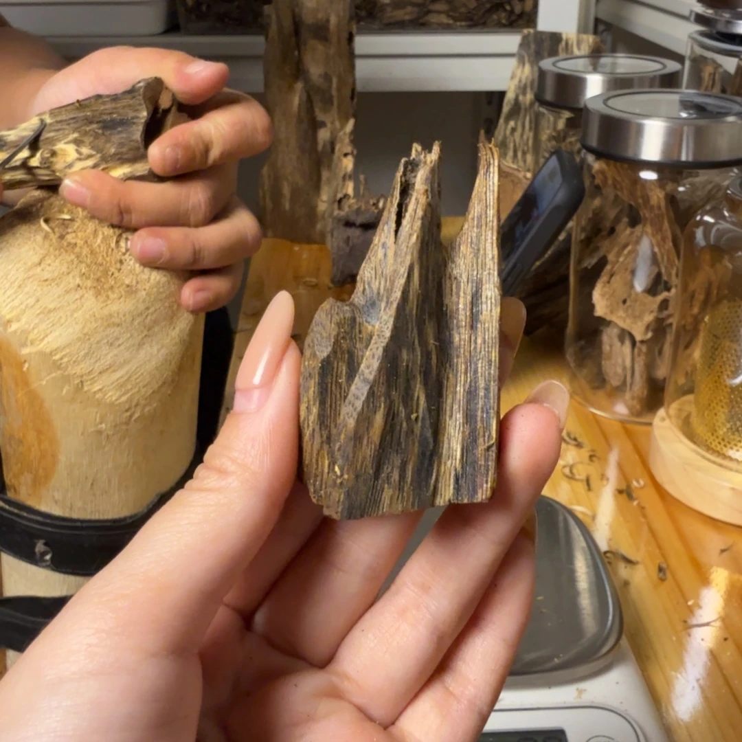 沉香张勺子虫漏香8克