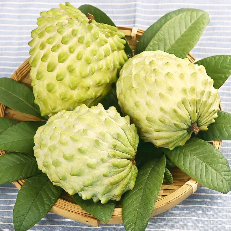 云南牛奶释迦果一箱
