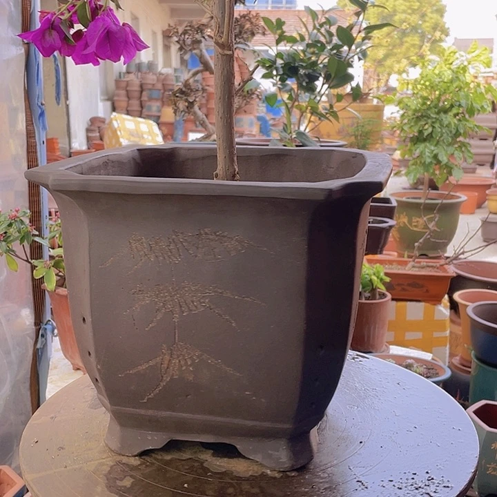 紫砂宜兴紫砂31切角四方