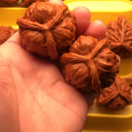 南***号核桃核桃核桃核桃核桃