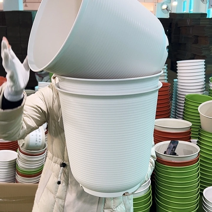 正品高陶口30高31白色无托3个