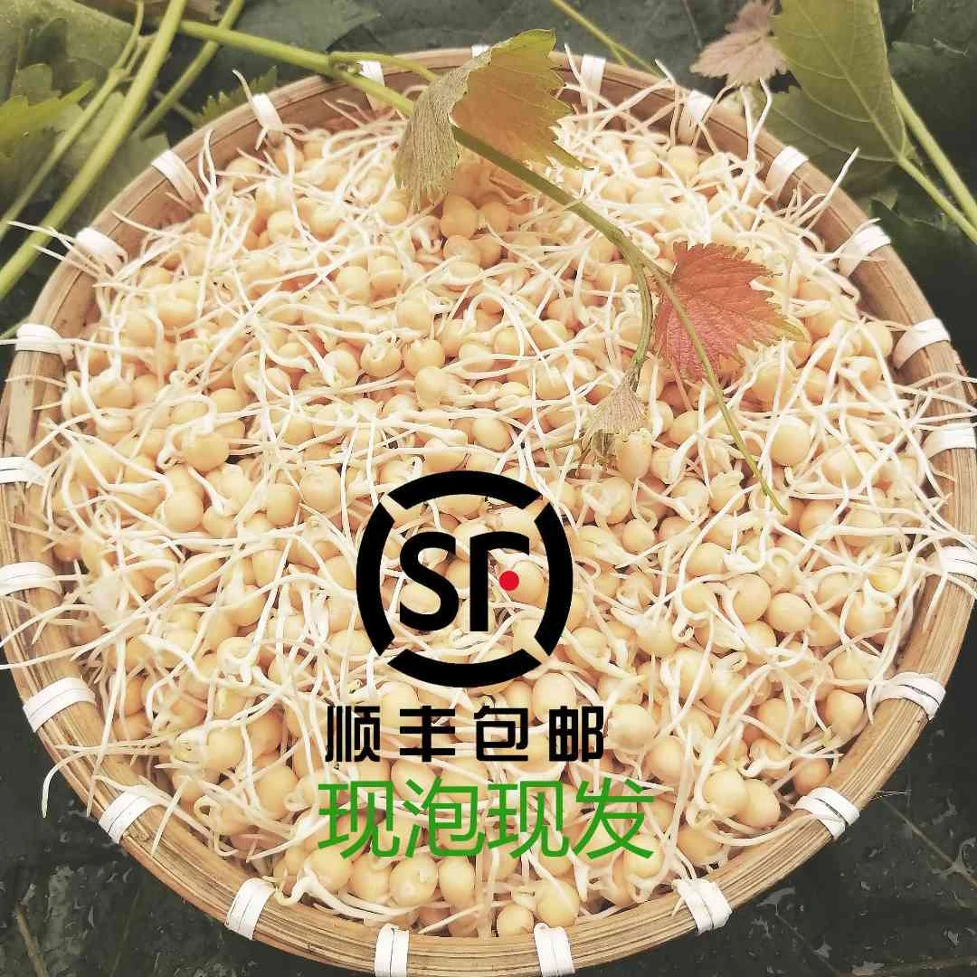 【顺丰包邮】贵州农家温水泡发豌豆芽