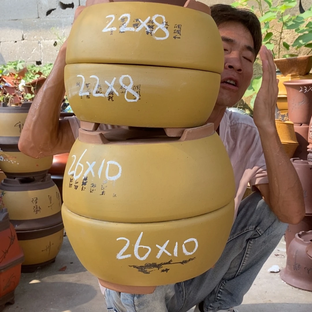 紫砂紫砂紫砂紫砂