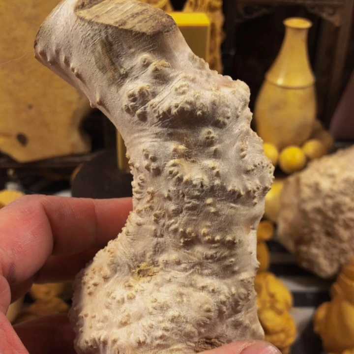 珍***儿木木料努力努力努力