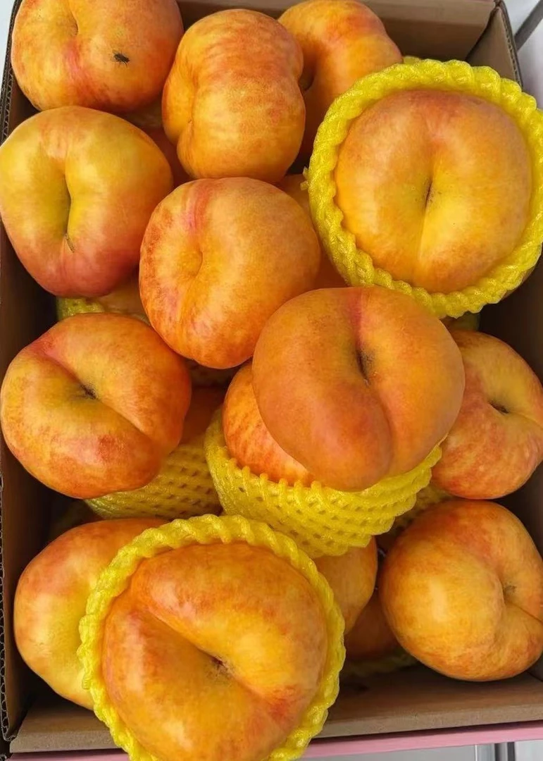 顺平伊祁山油蟠桃