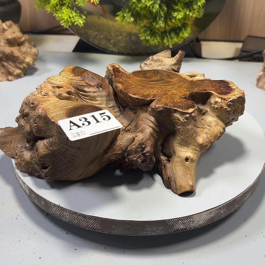 大果紫檀（缅甸花梨）嵯*