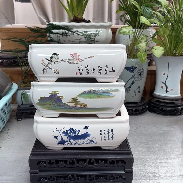 陶瓷花盆抢购福利活动