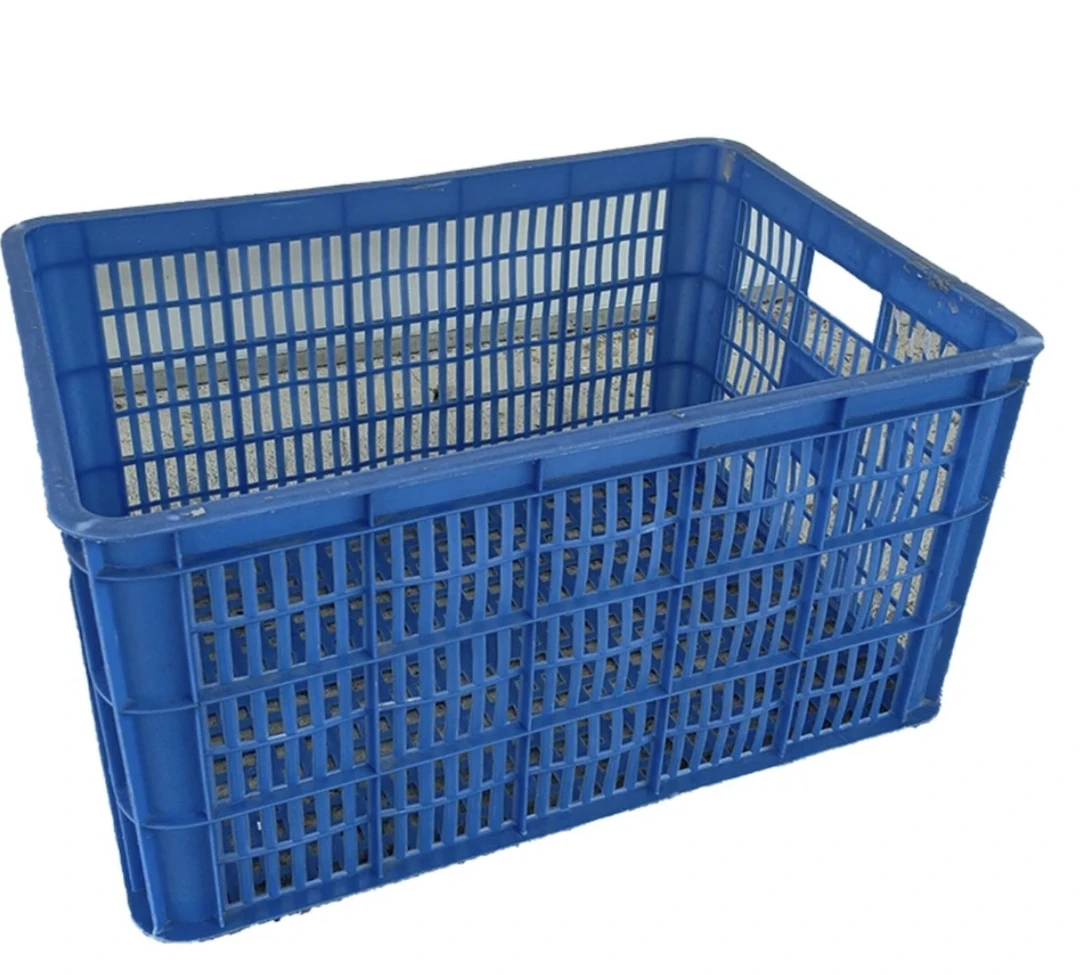 多鲜狮头鹅17-18斤特大塑料筐