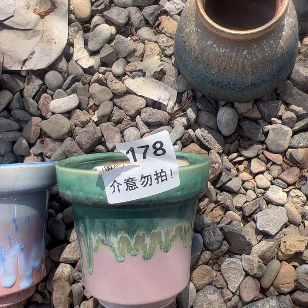 内口10 中号景德镇手工盆