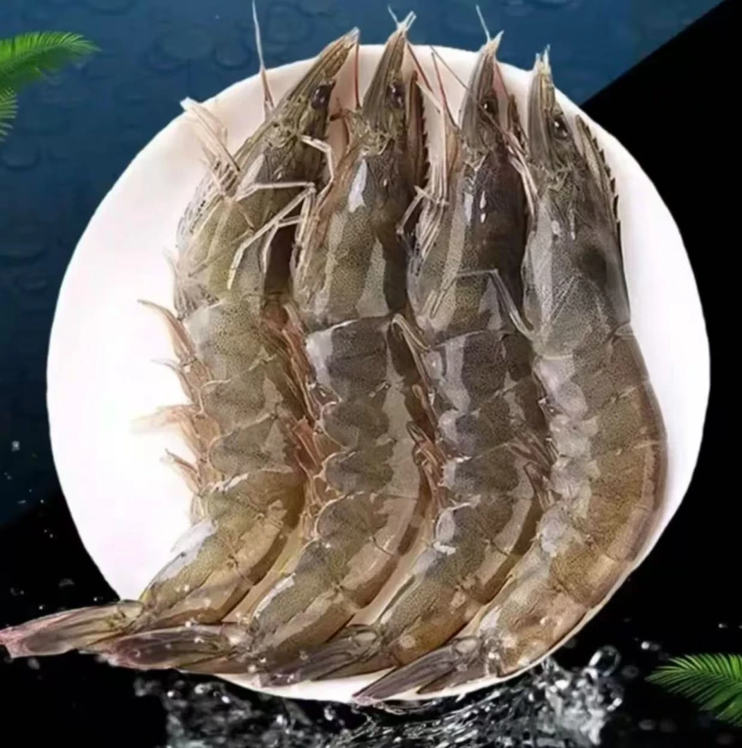 XS 四斤海洋大虾15-18厘米/只 10-15只/斤 活虾速冻锁鲜 整箱四斤