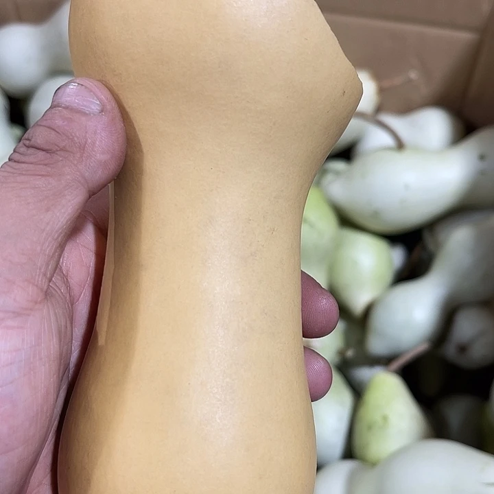 大果紫檀（缅甸花梨）N****r