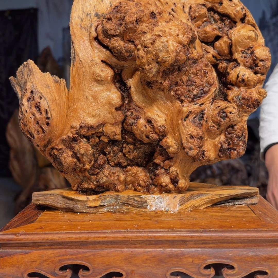 T***e木三丰琥珀木 天然摆件50