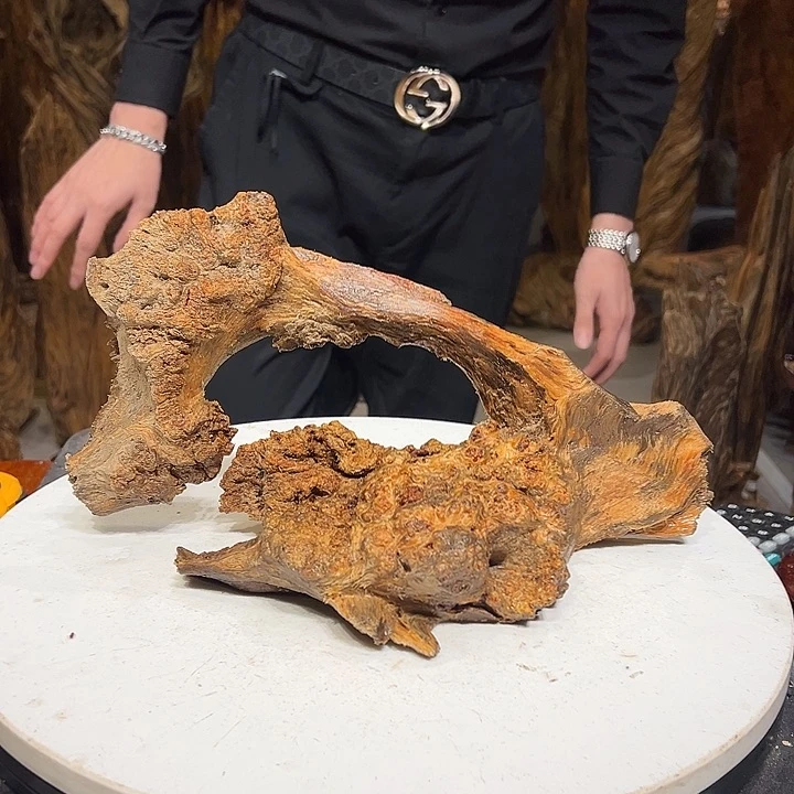 松木（琥珀木）木***人