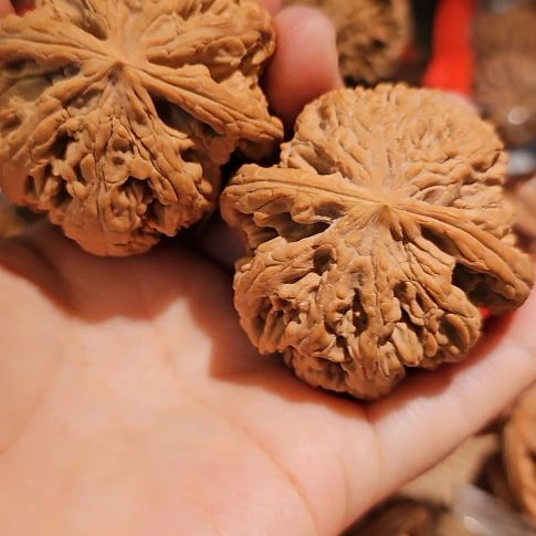 吊坠文玩核桃49粗筋