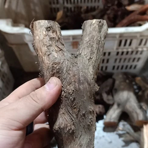 蹭***天大果紫檀（缅甸花梨）