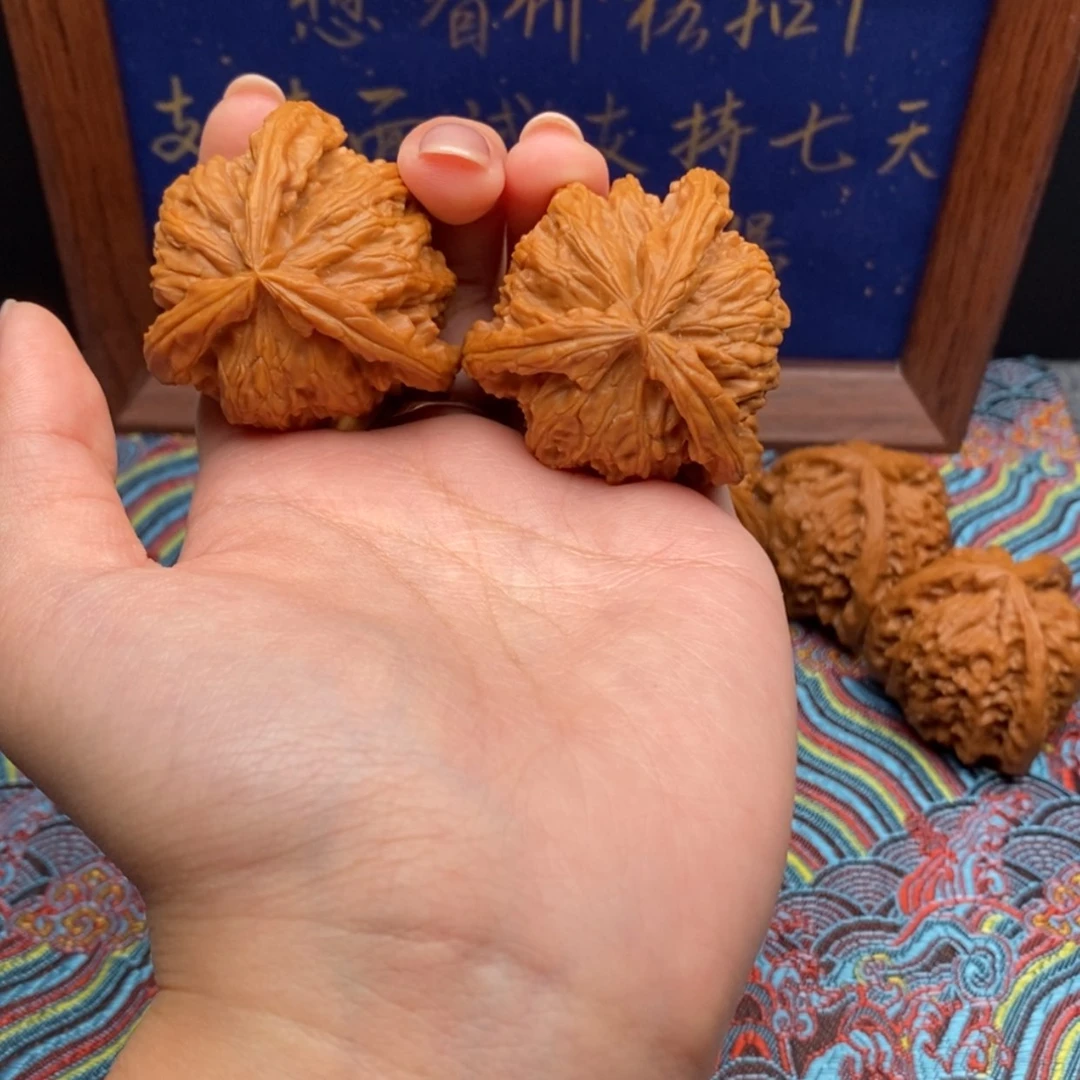 【闪购商品】王*丢白狮