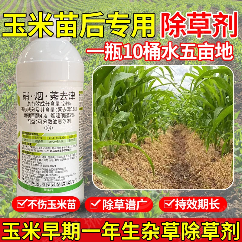 玉米田苗后除草剂硝烟莠去津不伤玉米护苗型苞米棒子杂草农药正品