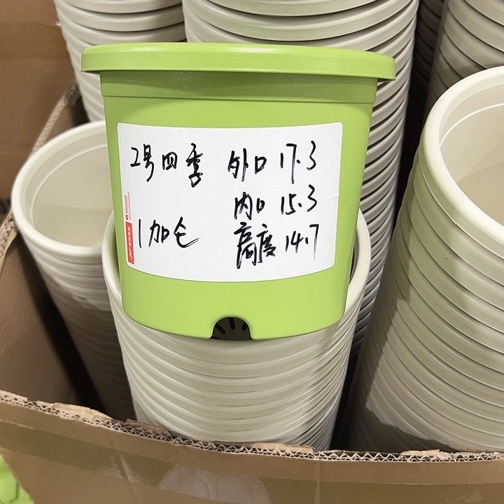 特价2号口17高14果绿10只带托