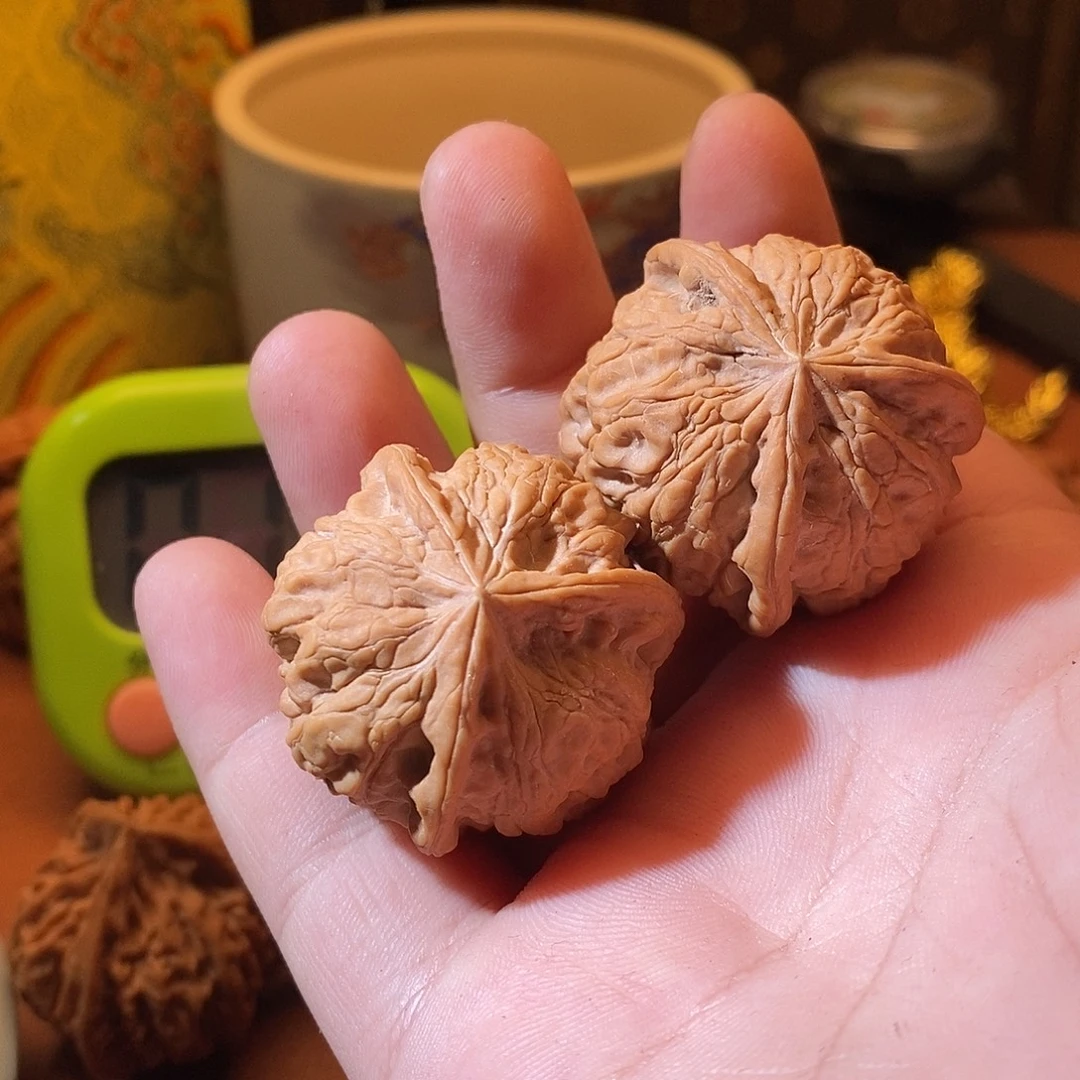 你的生活真的太不容易了？