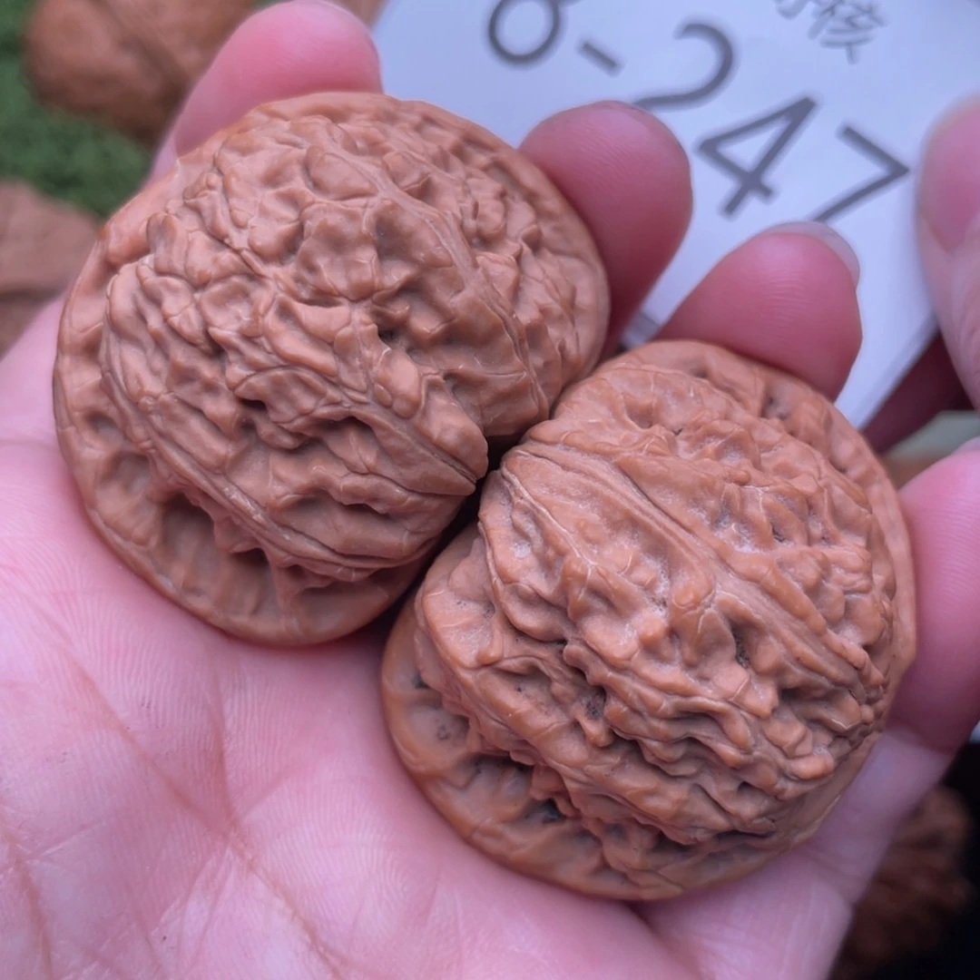 文玩核桃把件白狮子42
