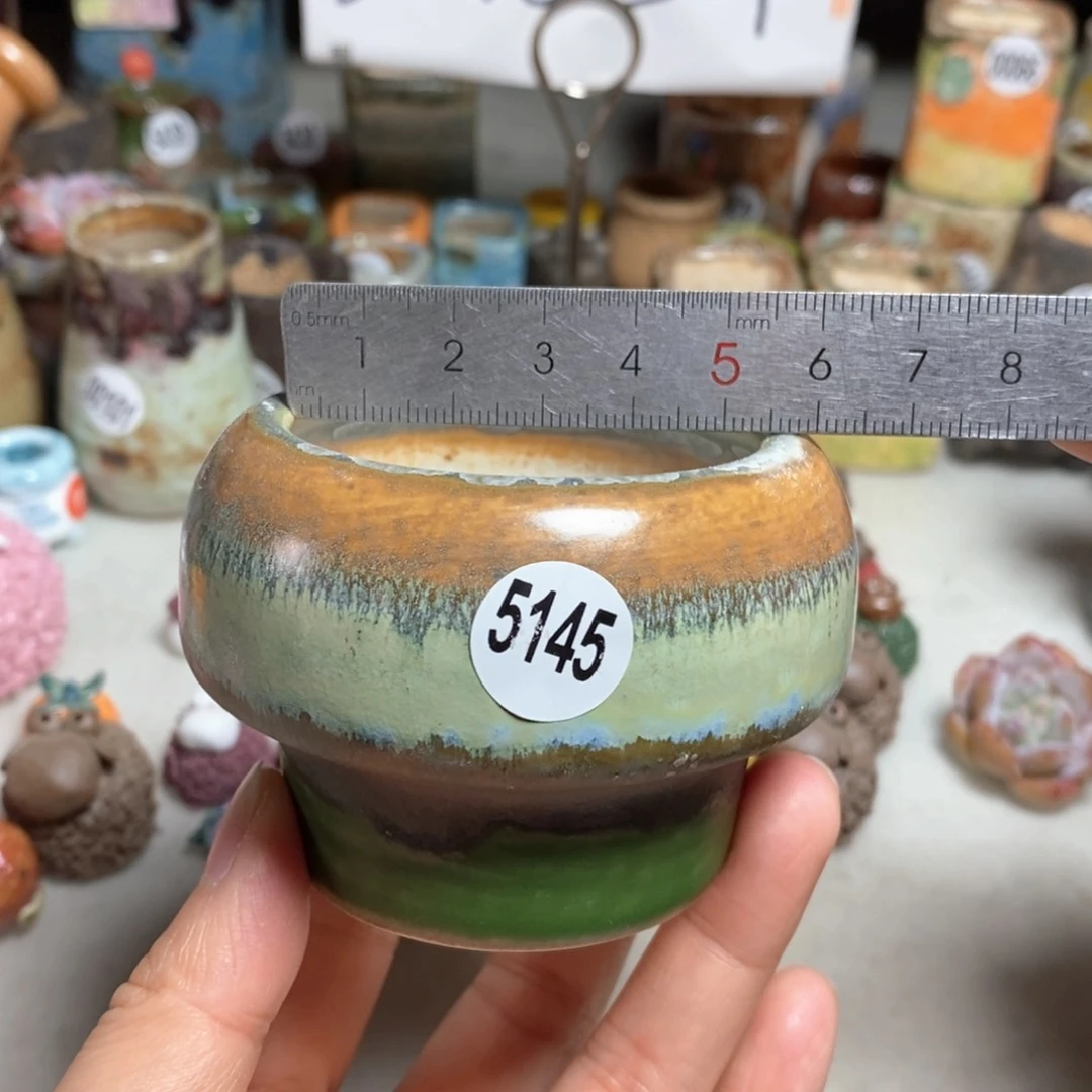 拍5送一个小礼物