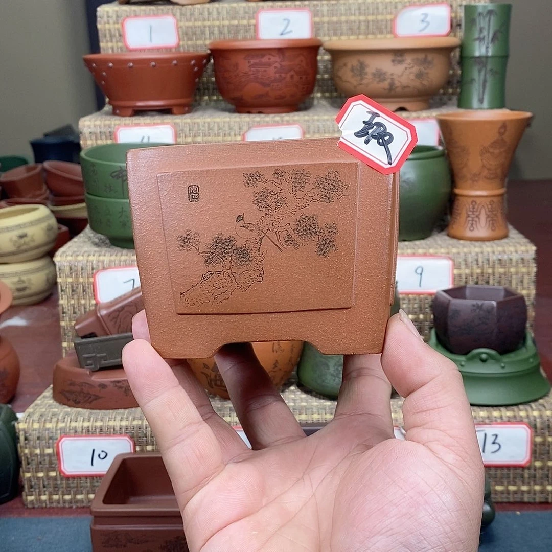 紫砂花盆我在等他