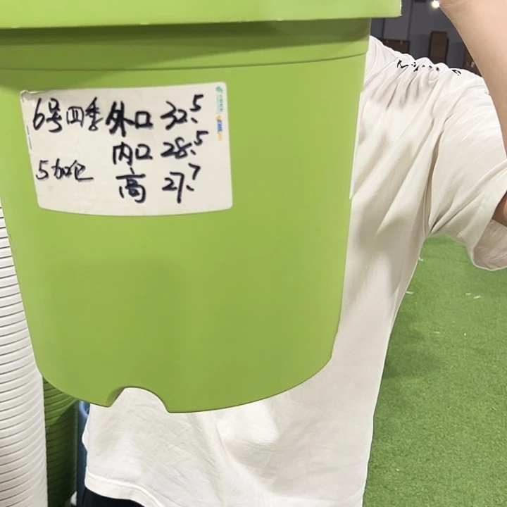 特价6号口32高27.7白色7只无托
