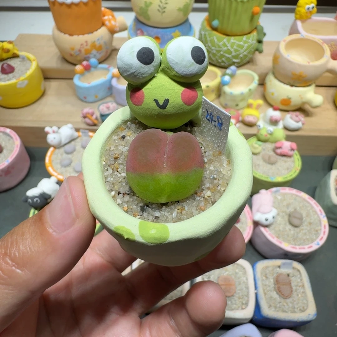 蘑菇238蟠桃蟠桃