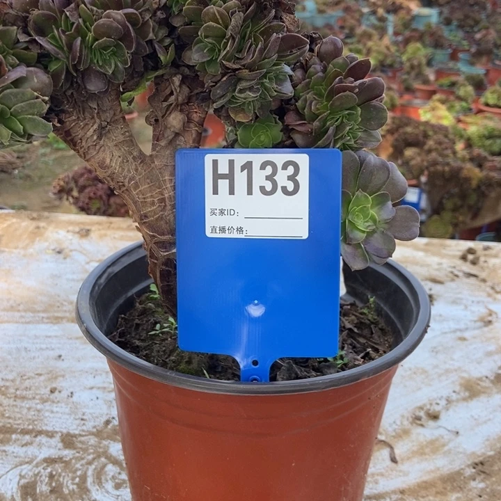 暖***光H133欧紫欧紫欧洲