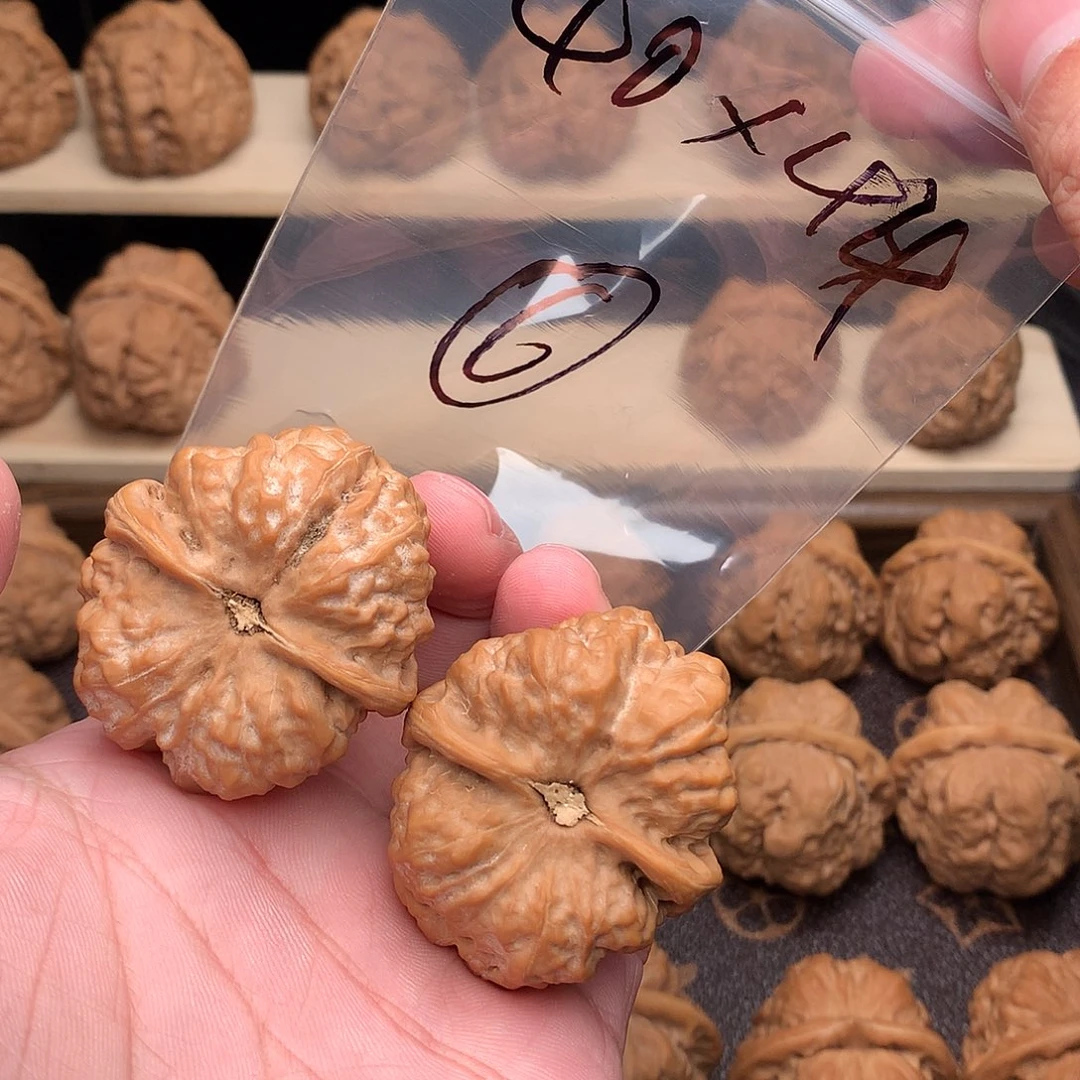 人***.核桃蛤蟆头40边44肚