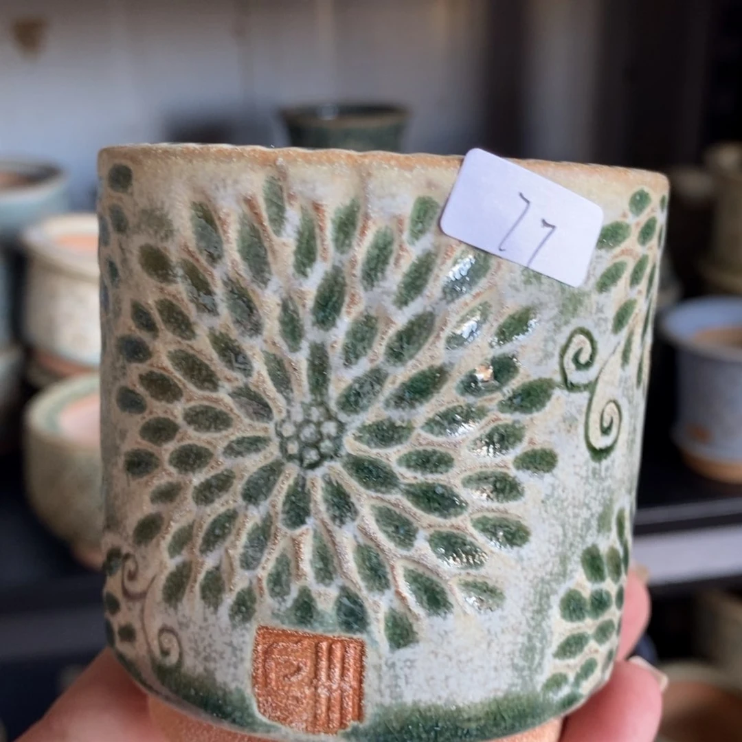 大丽花仕女杯6口77号