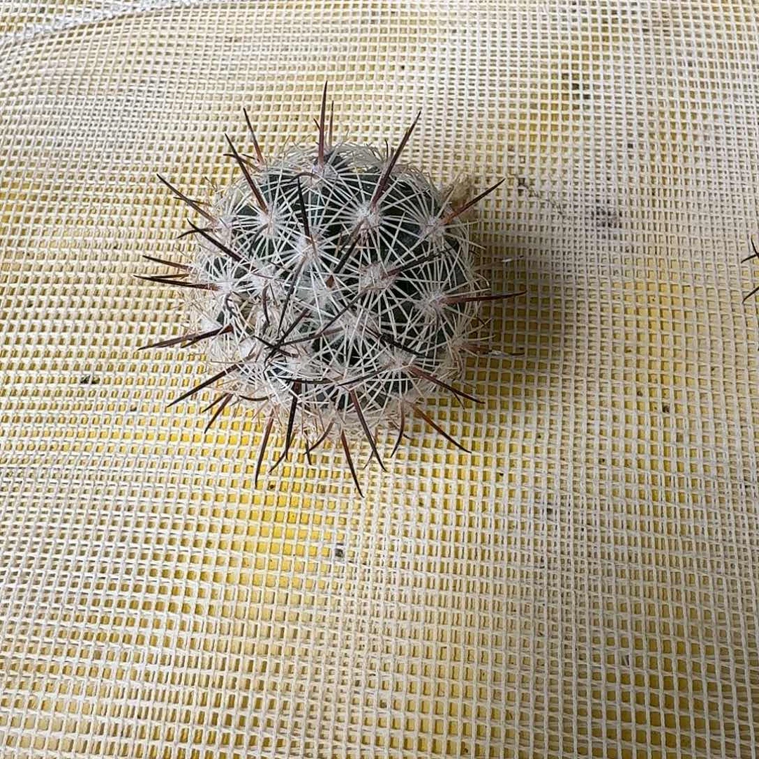 ?**珺花花花花花花花花花