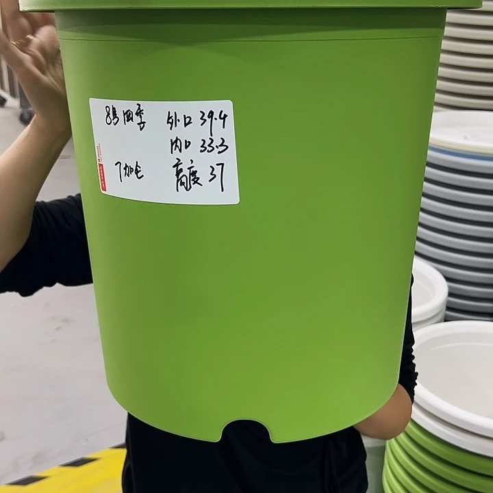 正品8号四季口39.4高37果绿无托3只