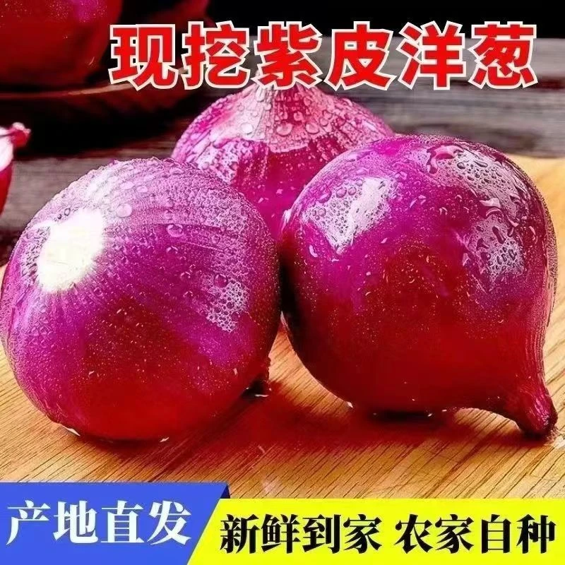 【达人宠粉】云南紫皮红皮洋葱现挖圆葱农家自种葱头整箱产地直发