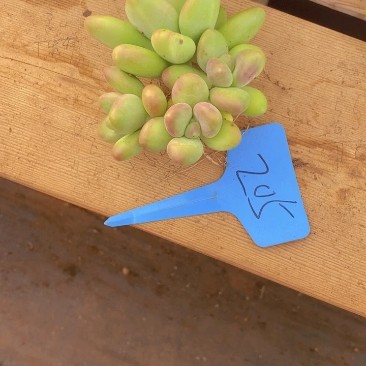 在家闲不住也可以轻松