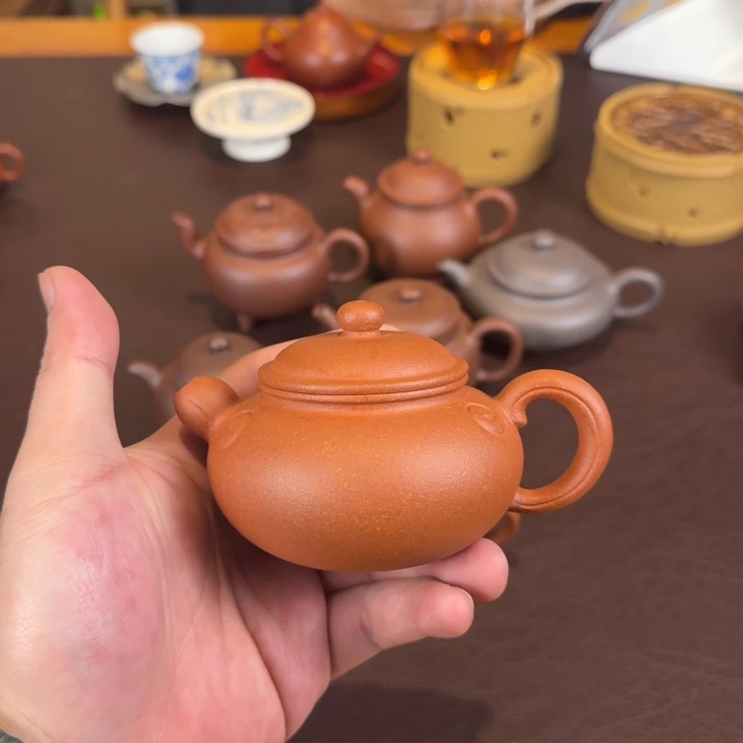 茶壶紫砂纯料降坡泥如意