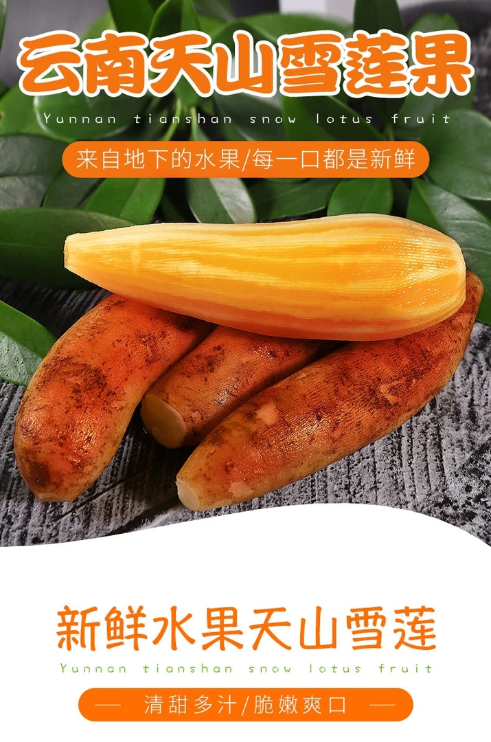 云南高原雪莲果商超品质精选大果人工挑拣带箱9斤5斤包邮