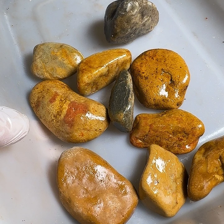 红***玩寿山石寿山石的颜色