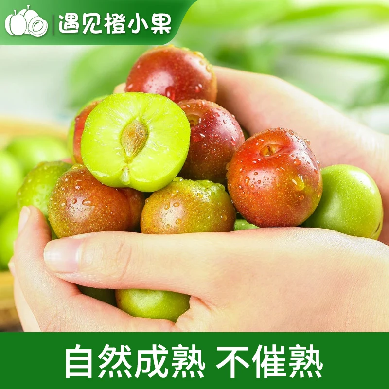 （现摘现发）四川高山脱骨半边红李子脆甜多汁茵红李当季新鲜水果