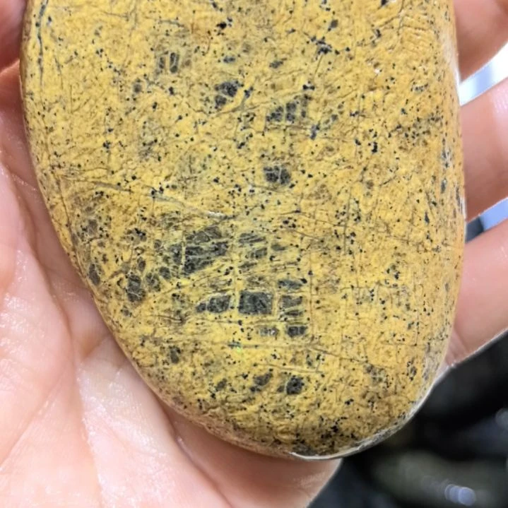 旭***颜木藏玉药王石原石一个