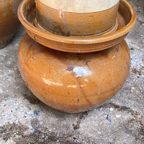 无花朵鲜花玫瑰花鲜花鲜花