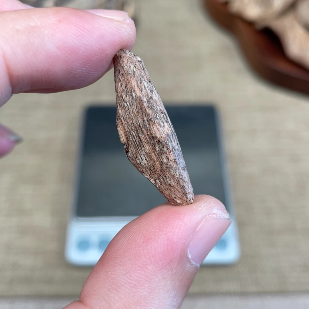 沉香广西博白瓜子料