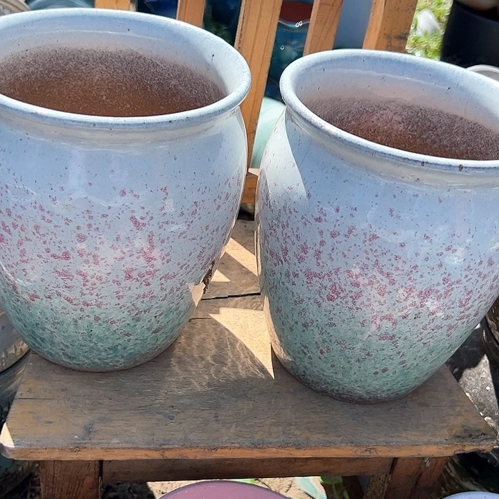 口17高20清仓价。。。。。。。。