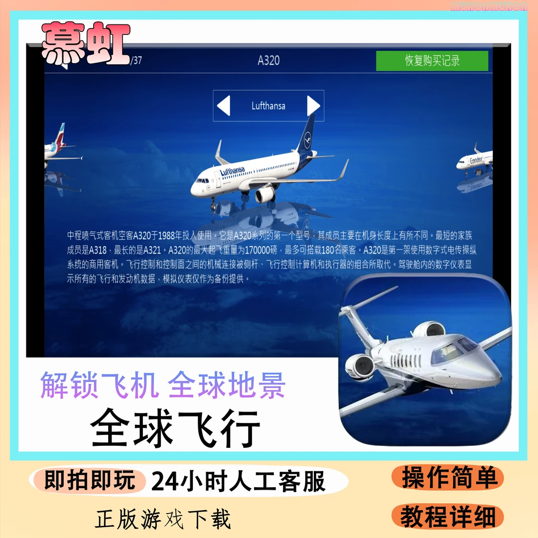 全球飞行 Aerofly FS Global 真实飞行手游 游戏 安装服务