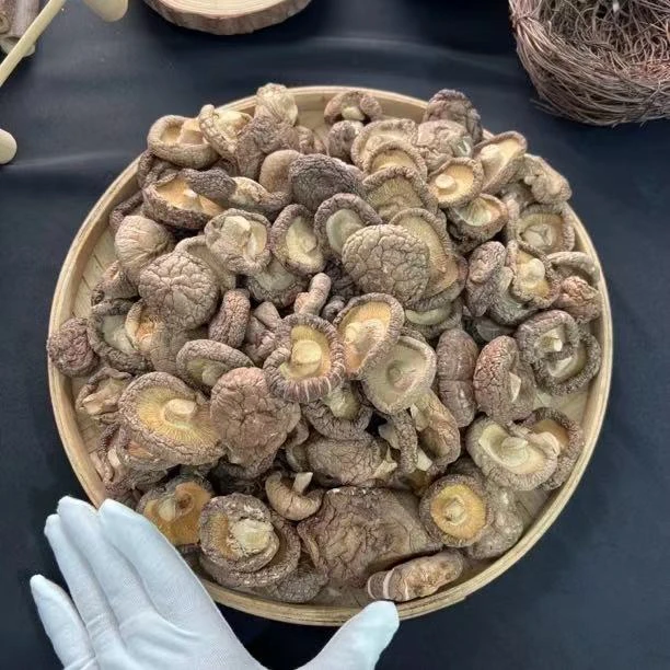 【滋补】香菇【虾干福利】